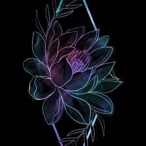 Meet your Posher, Lanetta